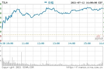 视频特斯拉股价若突破700美元将继续上涨Palantir买入时机快到了